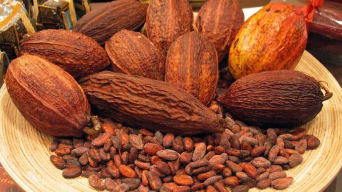 Kakao Tip 2 Diyabet'in Başlamasını Geciktirebilir Mi?
